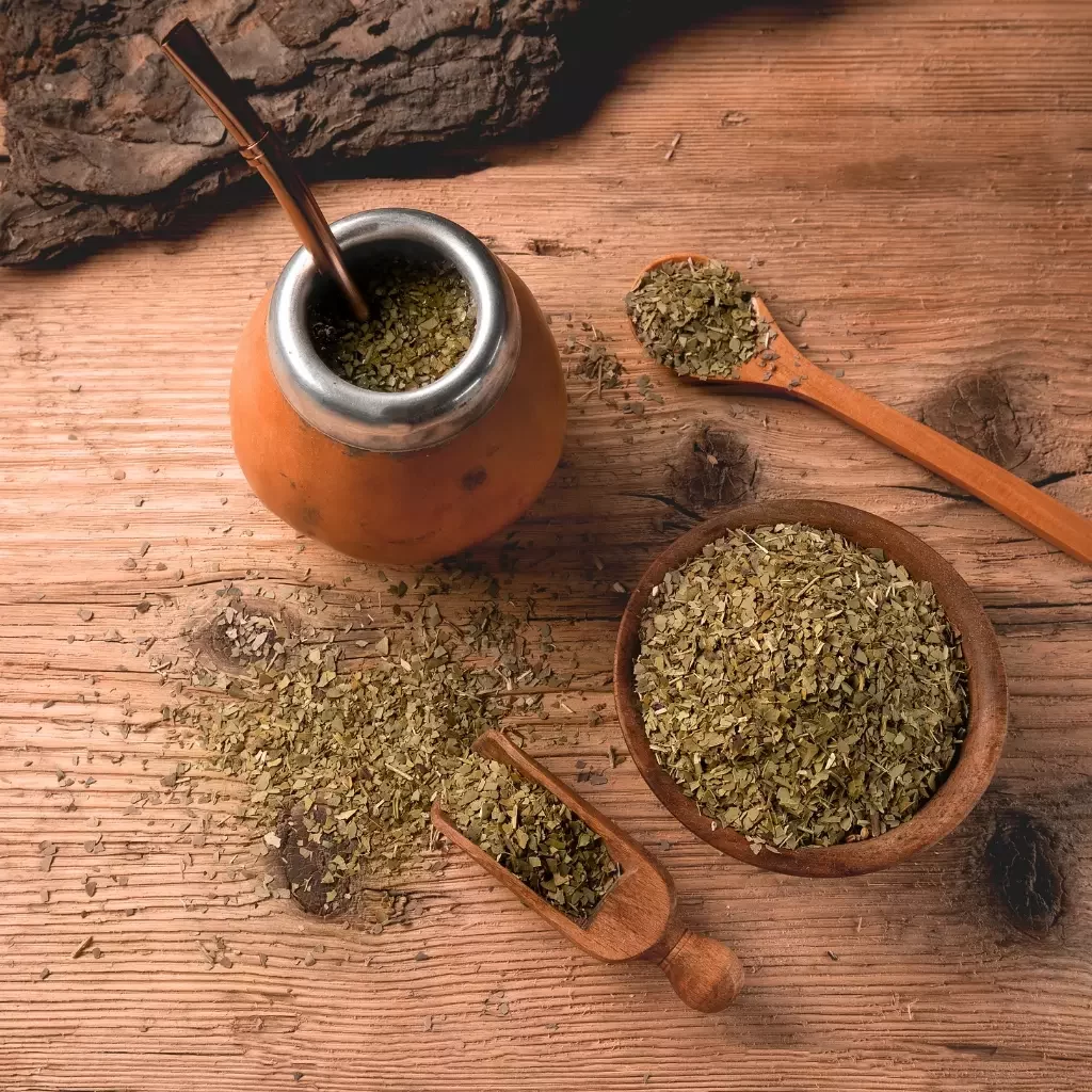 Le maté et ces bienfaits à découvrir sur notre article de blog MYFTEA